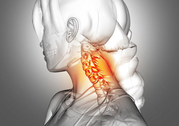 Trazioni cervicali e lombari – StatikLab